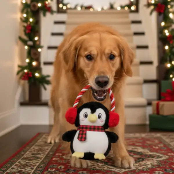 Peluche per cani con corda e squeaker Pinguino Chilly Leopet   bauzaarit.myshopify.com