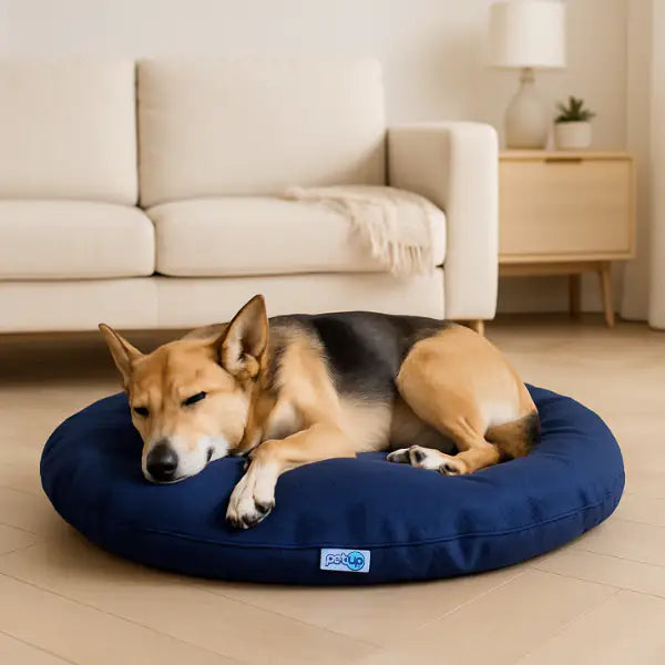 PetUp Cuscino Tecnico Ovale   bauzaarit.myshopify.com