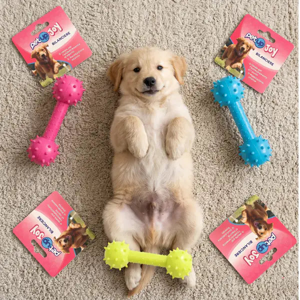 PetUp Joy gioco per cani Bilanciere in TPR   Bauzaar.it