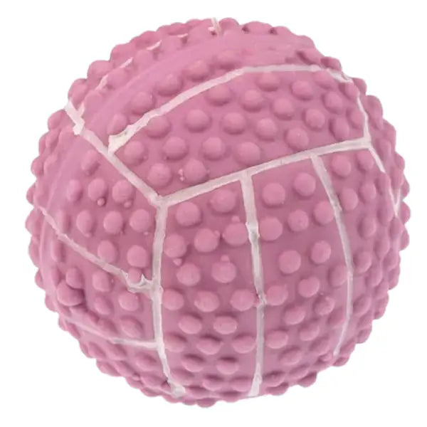 PetUp Joy gioco per cani Palla con squeaker in lattice Basket   Bauzaar.it