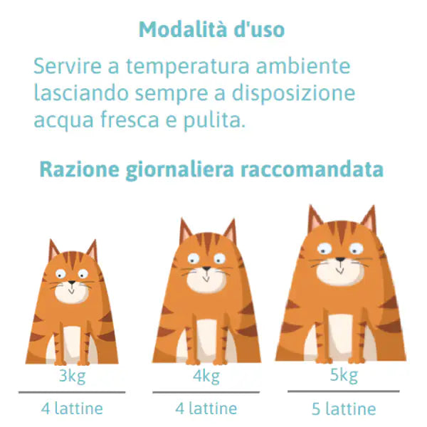 Petreet Vellutate Cat Maxi Scorta 6x70 gr   bauzaarit.myshopify.com