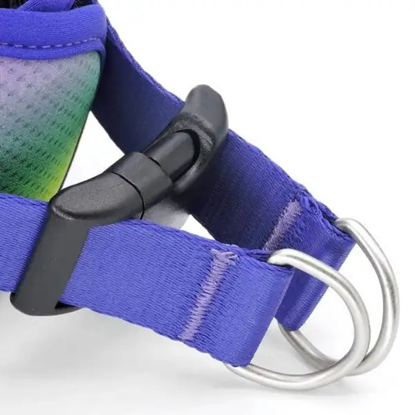Pettorina Body Mash traspirante per cani in raso Intense Spring Blossom Morso   bauzaarit.myshopify.com