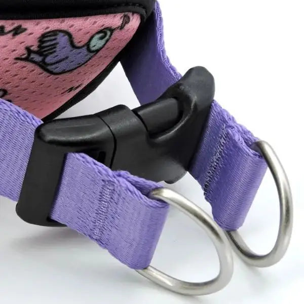 Pettorina Body Mash traspirante per cani in raso Intense Sweet Tweet Morso   bauzaarit.myshopify.com