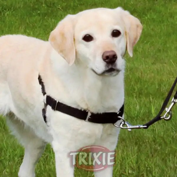 Pettorina Easy Walk Professional Trixie   bauzaarit.myshopify.com