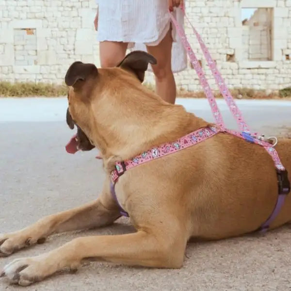 Pettorina ad H regolabile per cani in raso Intense Sweet Tweet Morso   bauzaarit.myshopify.com