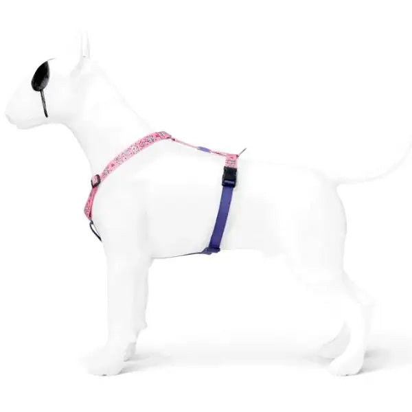 Pettorina ad H regolabile per cani in raso Intense Sweet Tweet Morso   bauzaarit.myshopify.com