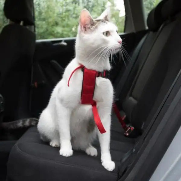 Pettorina con cintura per auto gatti Trixie   bauzaarit.myshopify.com