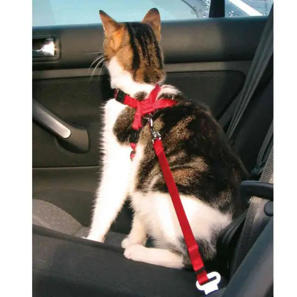 Pettorina con cintura per auto gatti Trixie   bauzaarit.myshopify.com