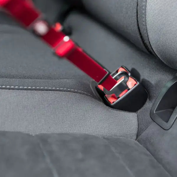Pettorina con cintura per auto gatti Trixie   bauzaarit.myshopify.com