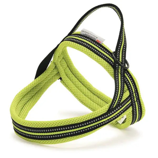 Pettorina in nylon intrecciato Easy PetUp   bauzaarit.myshopify.com