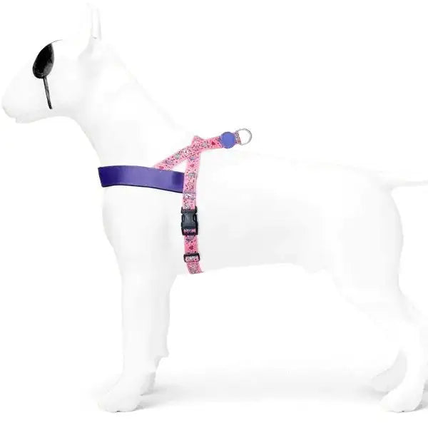 Pettorina norvegese regolabile per cani in raso Intense Sweet Tweet Morso   bauzaarit.myshopify.com