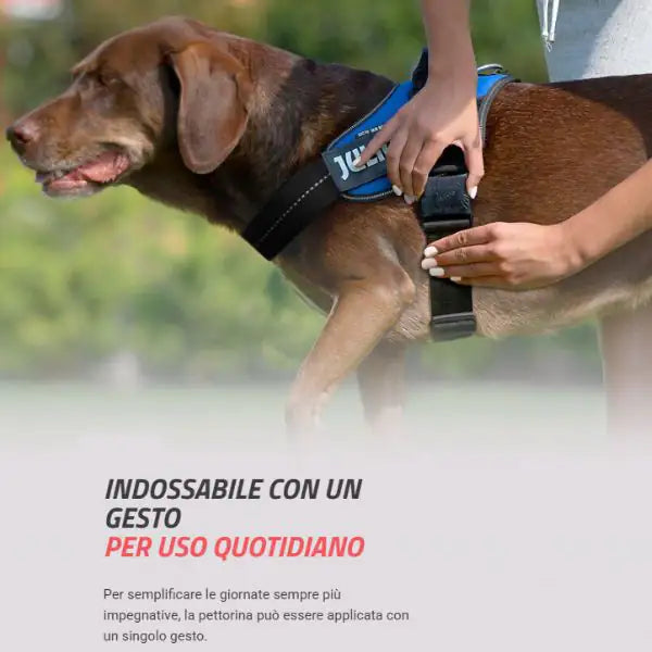Pettorina per cani IDC Powerharness Julius-K9   bauzaarit.myshopify.com