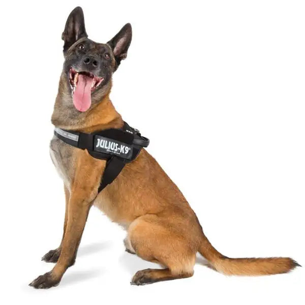 Pettorina per cani IDC Powerharness Julius-K9   bauzaarit.myshopify.com