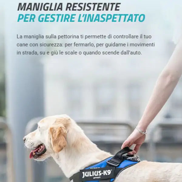 Pettorina per cani IDC Powerharness Julius-K9   bauzaarit.myshopify.com