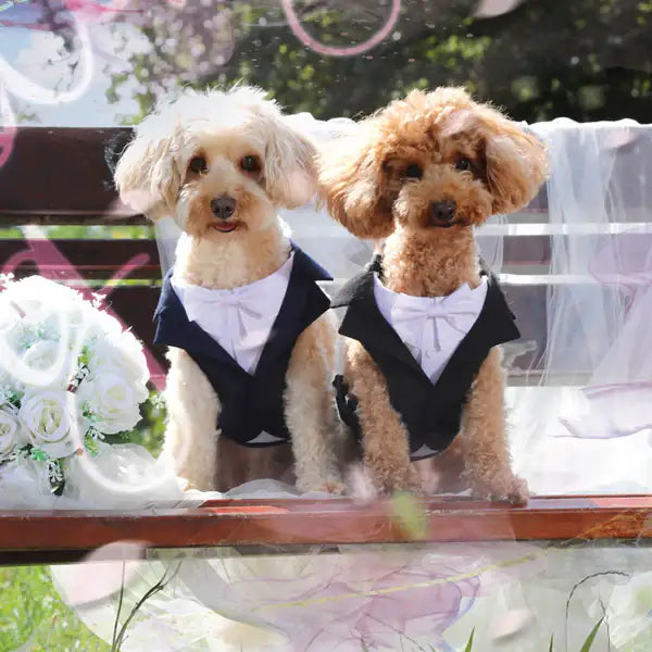 Pettorina per cani da cerimonia Croci Ceremony   bauzaarit.myshopify.com
