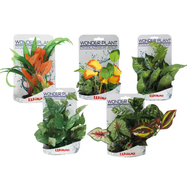 Piante finte decorative Wonder Amtra  0,15-0,25 m - Plant serie E bauzaarit.myshopify.com