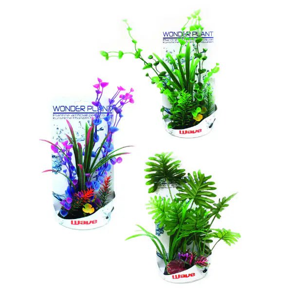 Piante finte decorative Wonder Amtra   bauzaarit.myshopify.com
