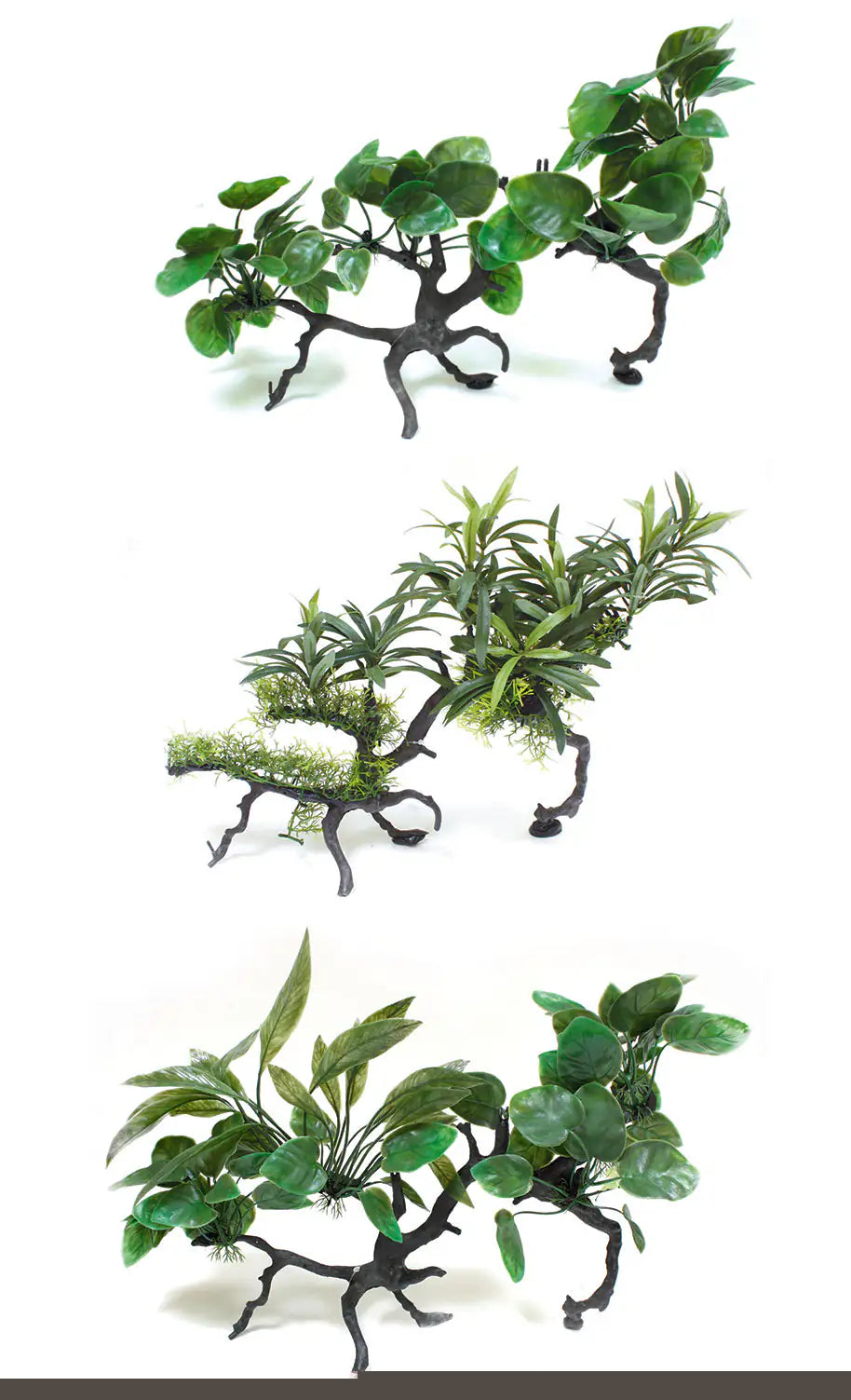 Piante finte decorative Wonder Amtra   bauzaarit.myshopify.com