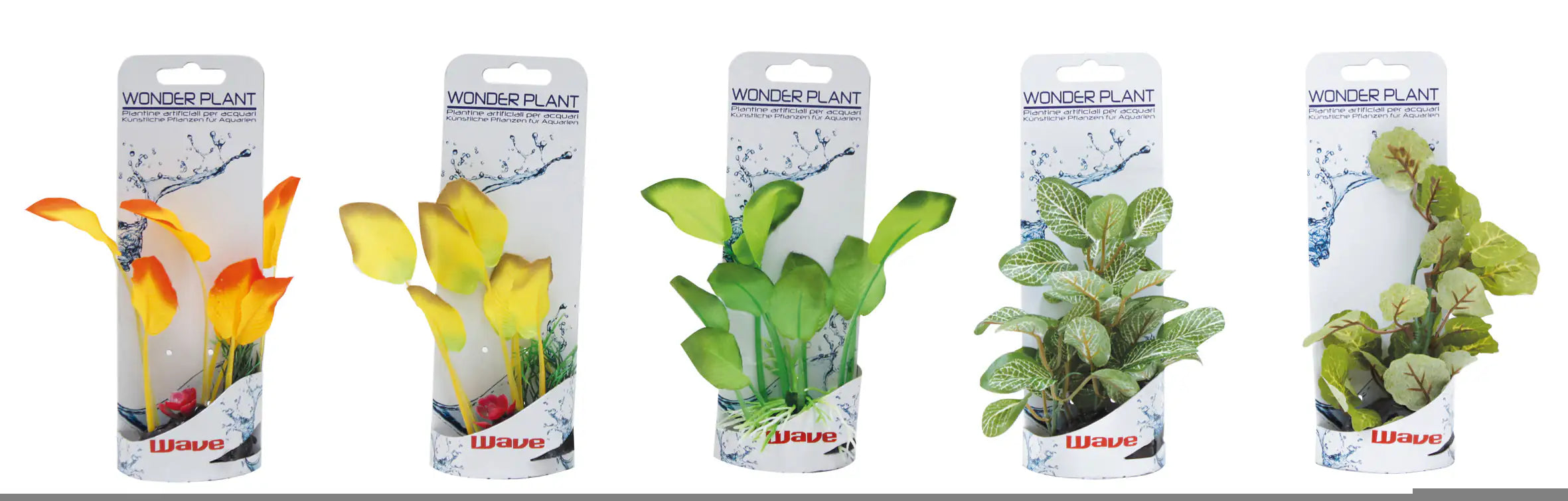 Piante finte decorative Wonder Amtra   bauzaarit.myshopify.com