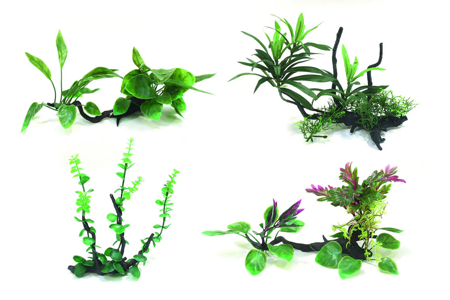 Piante finte decorative Wonder Amtra   bauzaarit.myshopify.com