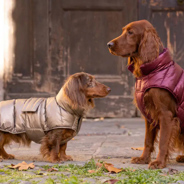 Piumino per cani Puffy per il freddo più intenso colori metallizzati Ferribiella   Bauzaar.it