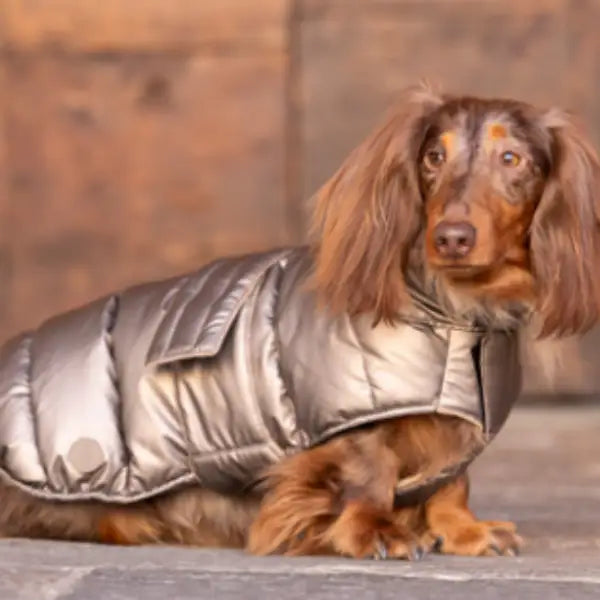 Piumino per cani Puffy per il freddo più intenso colori metallizzati Ferribiella   Bauzaar.it