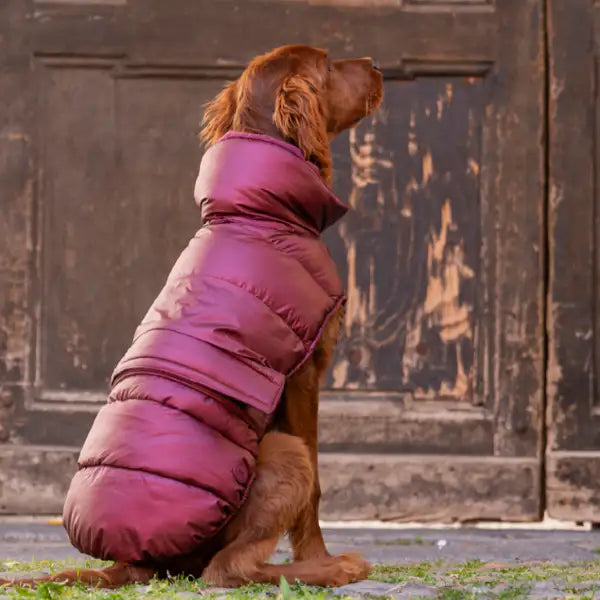 Piumino per cani Puffy per il freddo più intenso colori metallizzati Ferribiella   Bauzaar.it