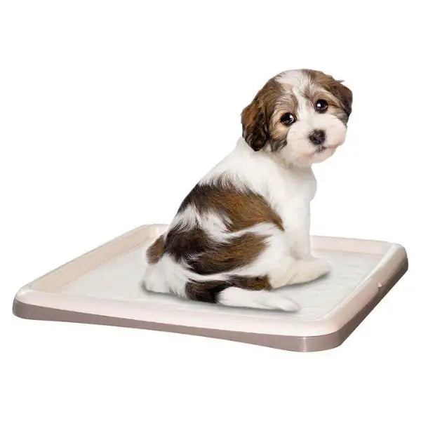 Portatappetino per addestramento cuccioli Tip&Tap PetUp  Per tappetino da 60 x 90 cm bauzaarit.myshopify.com