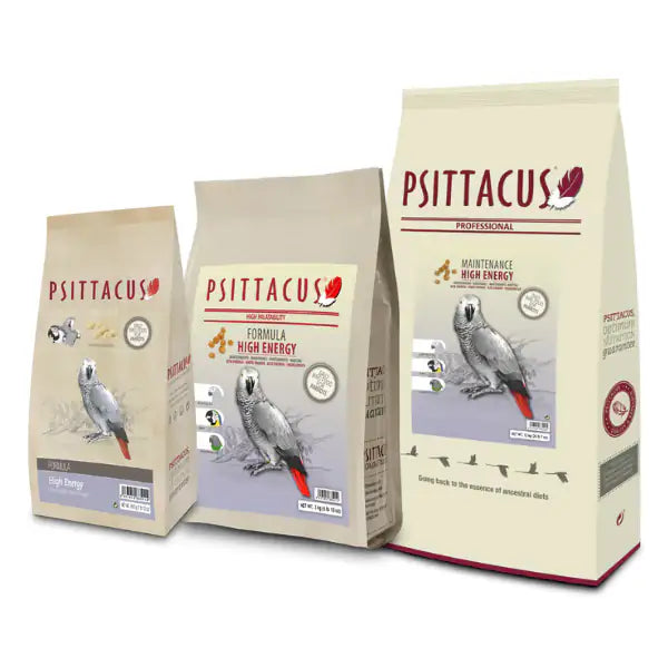 Psittacus Mantenimento Alta Energia   bauzaarit.myshopify.com