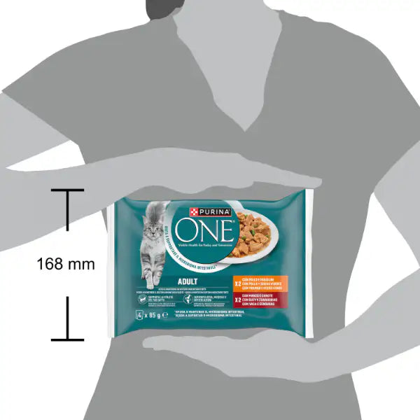 Purina One Cat Adult filettini in salsa multipack 4x85 gr   Bauzaar.it