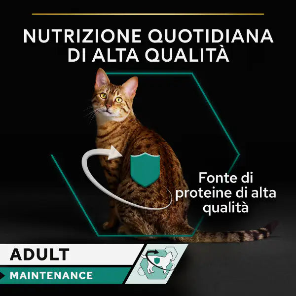 Purina Pro Plan Adult Maintenance Umido Gatti Terrine Pollo 85 g   bauzaarit.myshopify.com