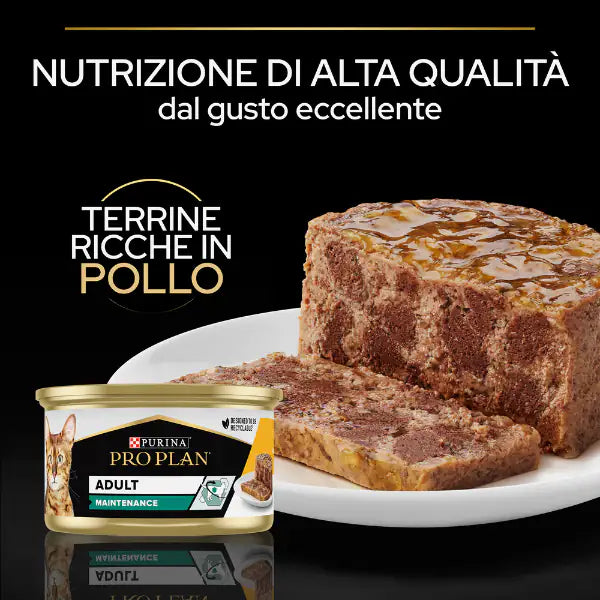 Purina Pro Plan Adult Maintenance Umido Gatti Terrine Pollo 85 g   bauzaarit.myshopify.com