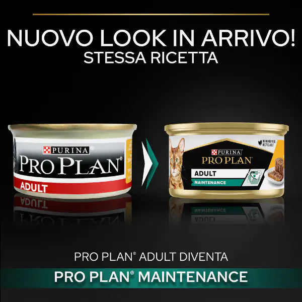 Purina Pro Plan Adult Maintenance Umido Gatti Terrine Pollo 85 g   bauzaarit.myshopify.com