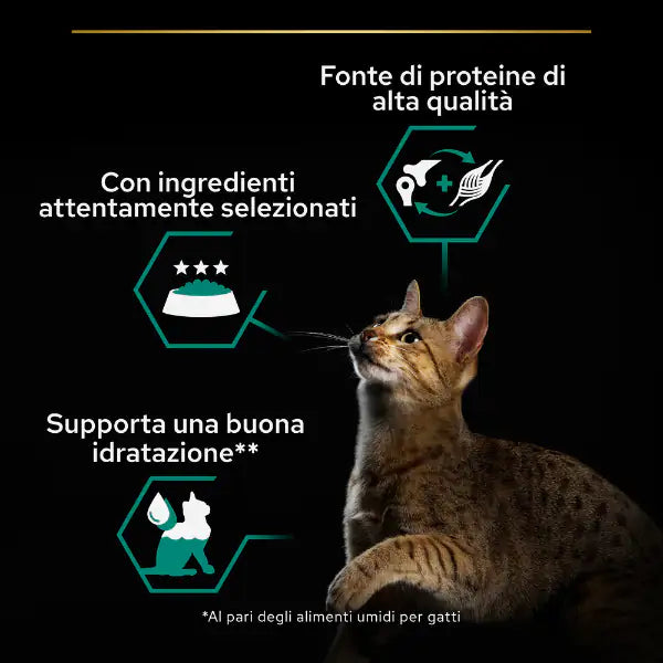 Purina Pro Plan Adult Maintenance Umido Gatti Terrine Pollo 85 g   bauzaarit.myshopify.com