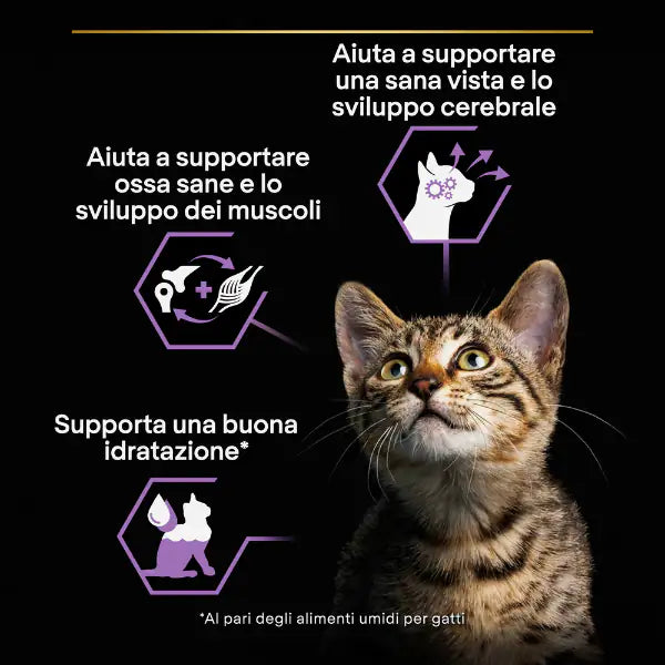 Purina Pro Plan Baby Kitten Healthy Start Umido Gatti Mousse Pollo 85 g   bauzaarit.myshopify.com