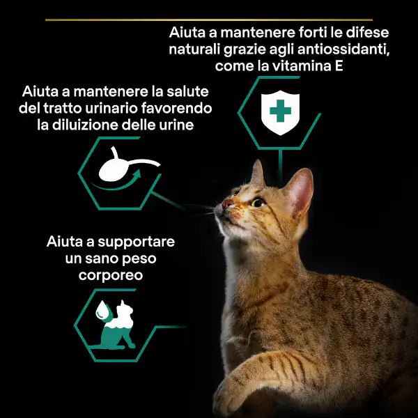 Purina Pro Plan Cat Adult Sterilised Maintenance Multipack in gelatina 10x85g   bauzaarit.myshopify.com