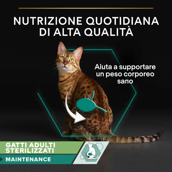 Purina Pro Plan Cat Adult Sterilised Maintenance Umido in gelatina 85 g   bauzaarit.myshopify.com