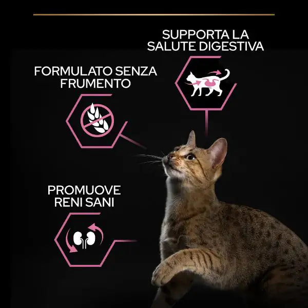 Purina Pro Plan Delicate Digestion Adult 1+ con Tacchino   bauzaarit.myshopify.com