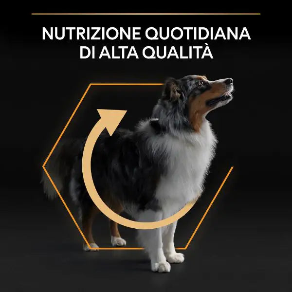 Purina Pro Plan Everyday Nutrition Medium Adult Crocchette Cane Pollo   bauzaarit.myshopify.com