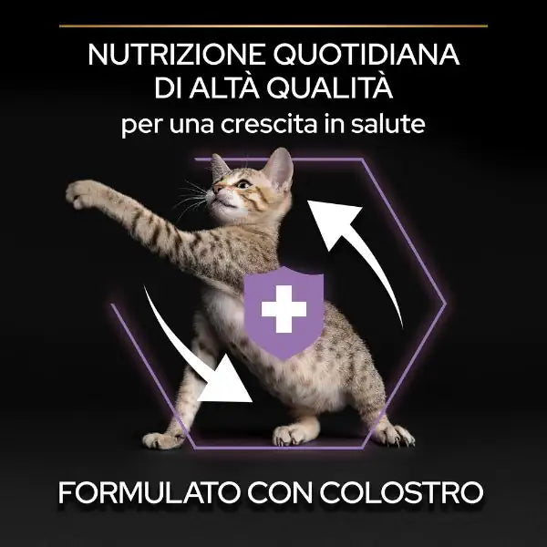 Purina Pro Plan Healthy Start Kitten con Pollo   bauzaarit.myshopify.com