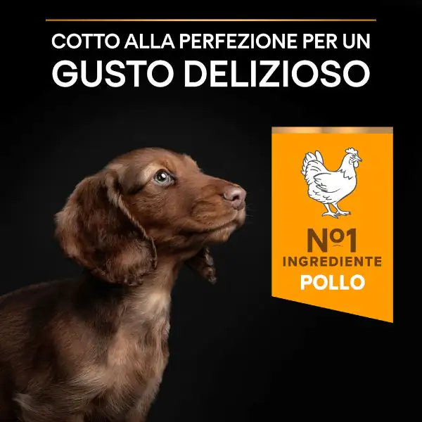 Purina Pro Plan Healthy Start Small e Mini Puppy Crocchette Cane Pollo   bauzaarit.myshopify.com
