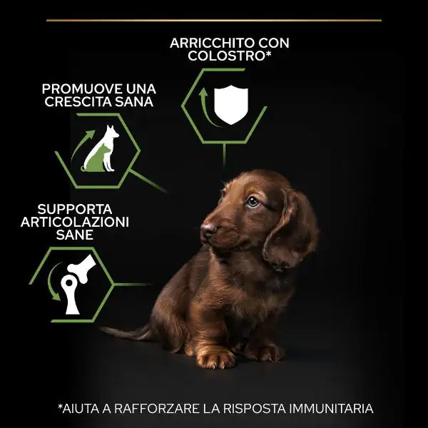 Purina Pro Plan Healthy Start Small e Mini Puppy Crocchette Cane Pollo   bauzaarit.myshopify.com