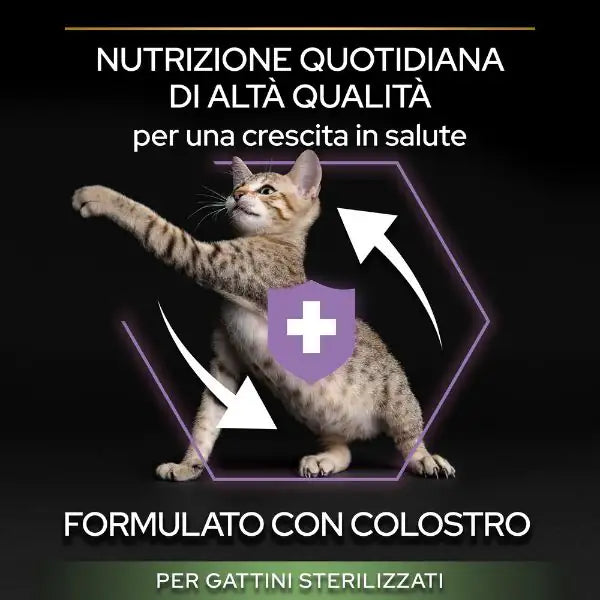 Purina Pro Plan Healthy Start Sterilised Kitten con Salmone   bauzaarit.myshopify.com