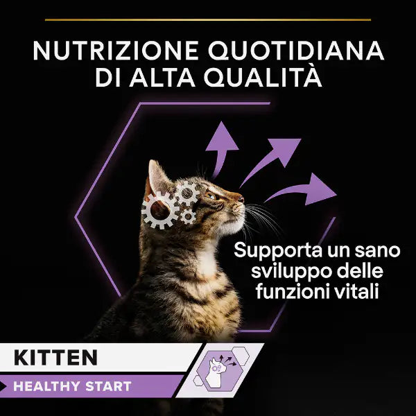 Purina Pro Plan Kitten Healthy Start Umido Gatti in Salsa Tacchino Multipack 10x85g   bauzaarit.myshopify.com