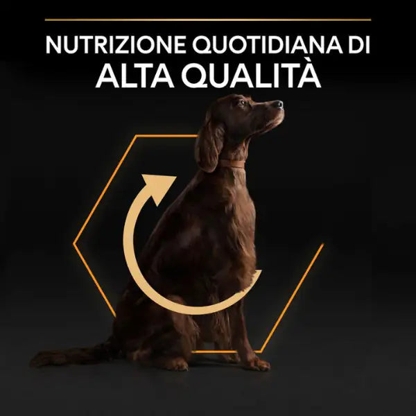 Purina Pro Plan Large Athletic Adult Everyday Nutrition Crocchette per cani   bauzaarit.myshopify.com