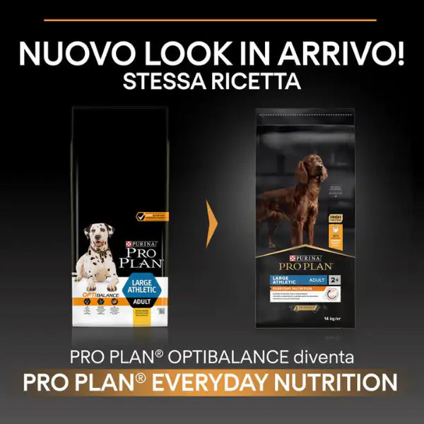 Purina Pro Plan Large Athletic Adult Everyday Nutrition Crocchette per cani   bauzaarit.myshopify.com