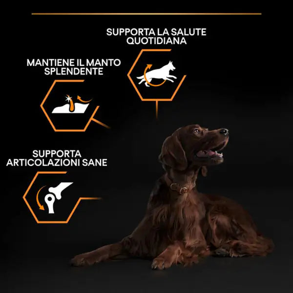 Purina Pro Plan Large Athletic Adult Everyday Nutrition Crocchette per cani   bauzaarit.myshopify.com