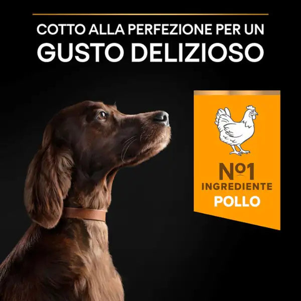 Purina Pro Plan Large Athletic Adult Everyday Nutrition Crocchette per cani   bauzaarit.myshopify.com
