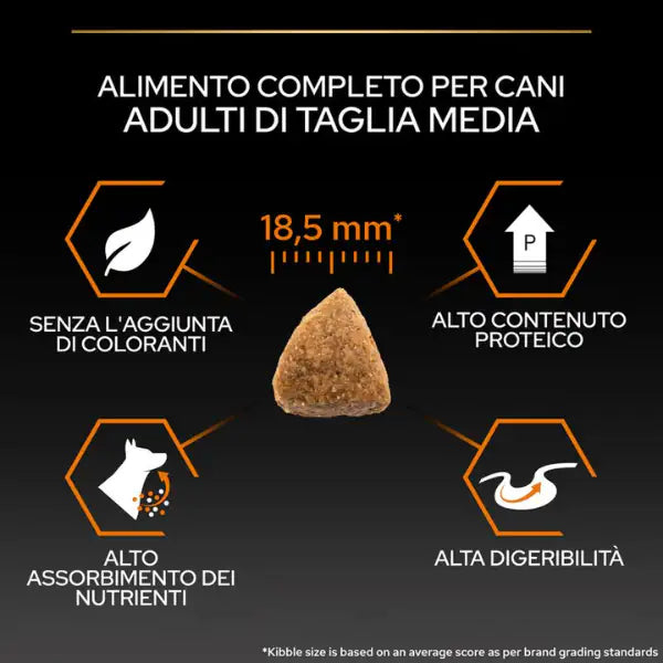 Purina Pro Plan Large Athletic Adult Everyday Nutrition Crocchette per cani   bauzaarit.myshopify.com