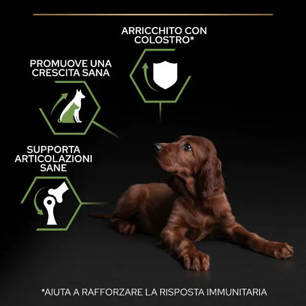 Purina Pro Plan Large Athletic Puppy Healthy Start Crocchette per cane   bauzaarit.myshopify.com